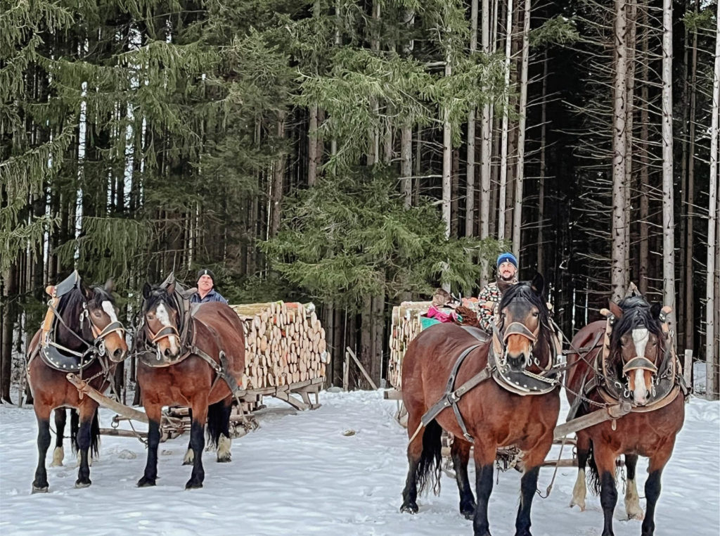 Zwei Pferdekutschen mit Holz beladen vor dem Wald im Winter