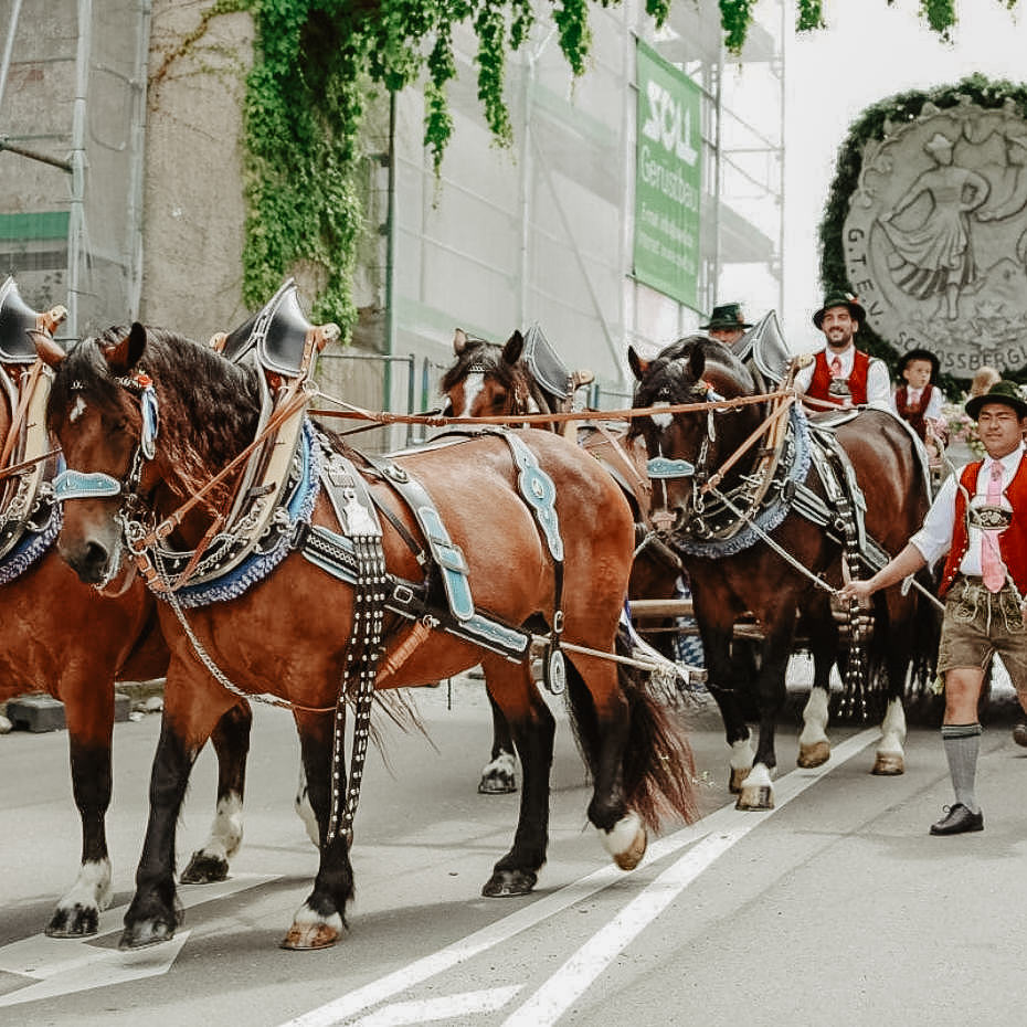 Ein traditioneller Festzug mit Pferdekutschen