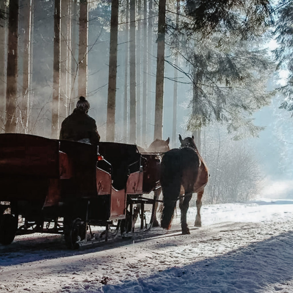 Eine Pferdekutsche im Winter fährt durch den verschneiten Wald