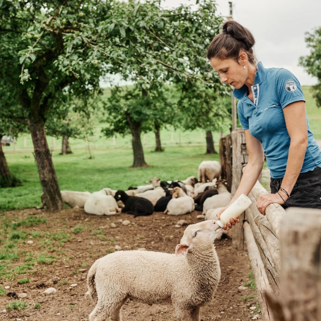 Antonia Reßle füttert ein Schaf mit Milch aus der Flasche