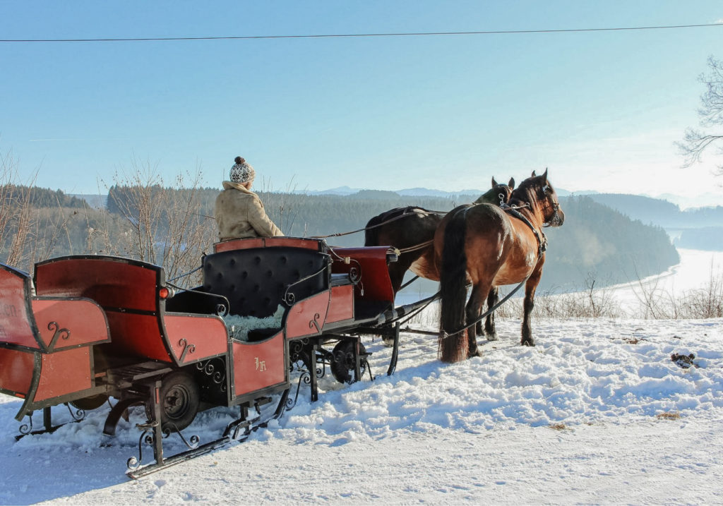 Eine Pferde-Schlittenfahrt im Winter mit Ausblick auf die Schneelandschaft und den Lech
